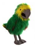 Amazon Green - click to enlarge
